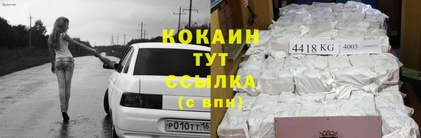 ECSTASY Белокуриха