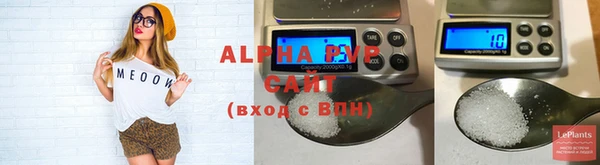 ECSTASY Белокуриха