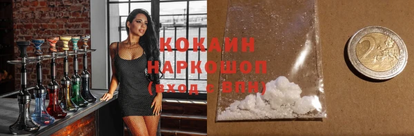 ECSTASY Белокуриха