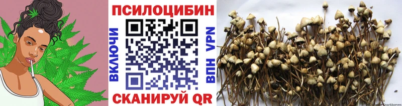 Псилоцибиновые грибы ЛСД  где можно купить   Железноводск 